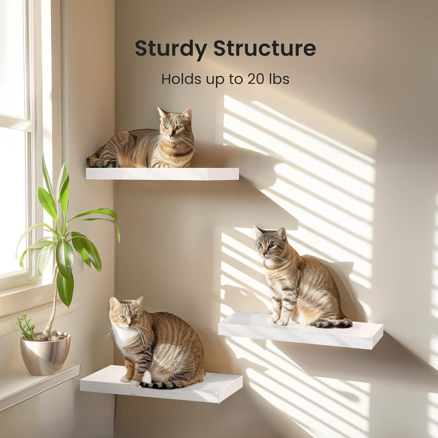 3 Pack Floating Shelves for Wall - 16 Inch Wall Shelves